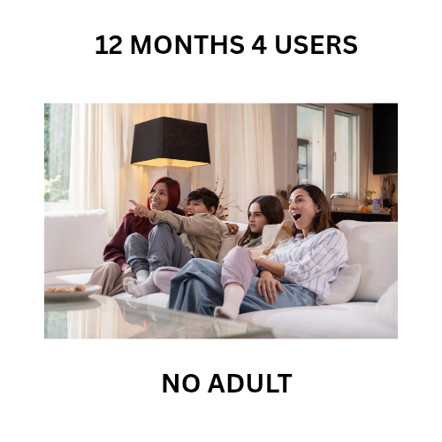 12 MONTHS 4 USERS NO ADULT